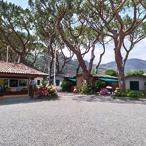 Camping Roma